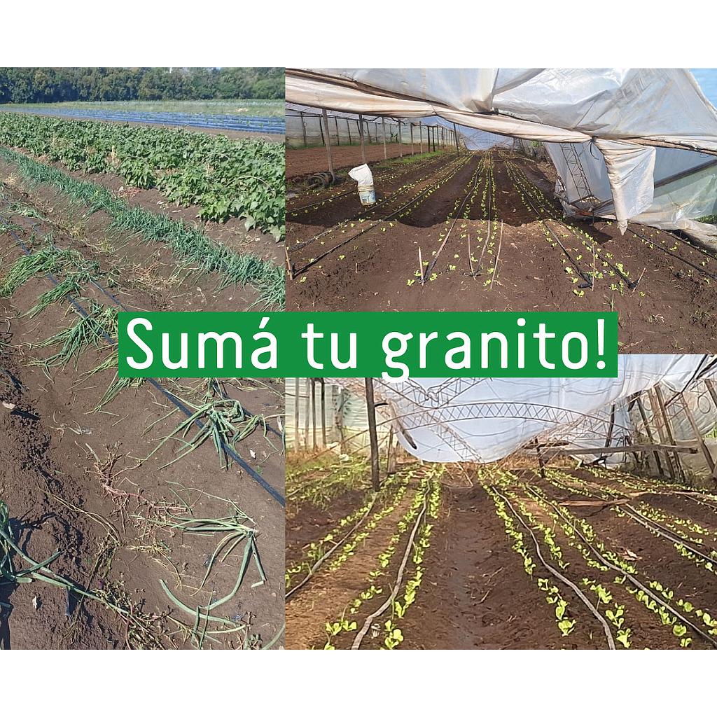 Bono Solidario "Semilla": Reconstruyendo la Agroecología en Escobar $5.000