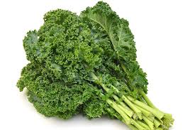 Kale agroecológico ATADO