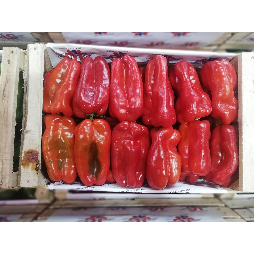 CAJON Morron Rojo agroecologico 8K