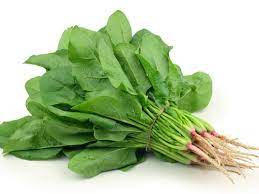 Espinaca agroecologica por Atado