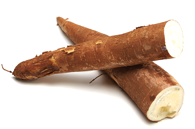 Mandioca agroecologica 1K