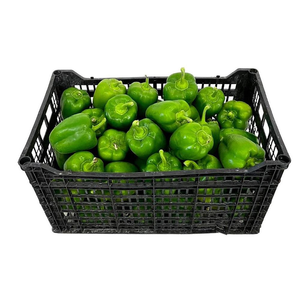 CAJON Morron Verde agroecológico 9K