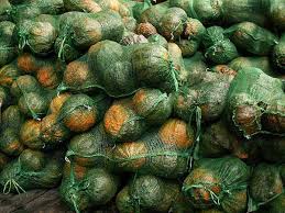 BOLSA de Zapallo Kabutia agroecológico 18K (bruto)