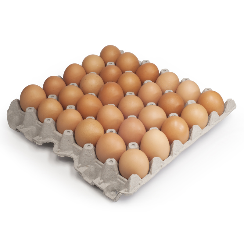 Huevos de Campo Maple