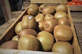 CAJON de Kiwi agroecologico 5K (bruto)