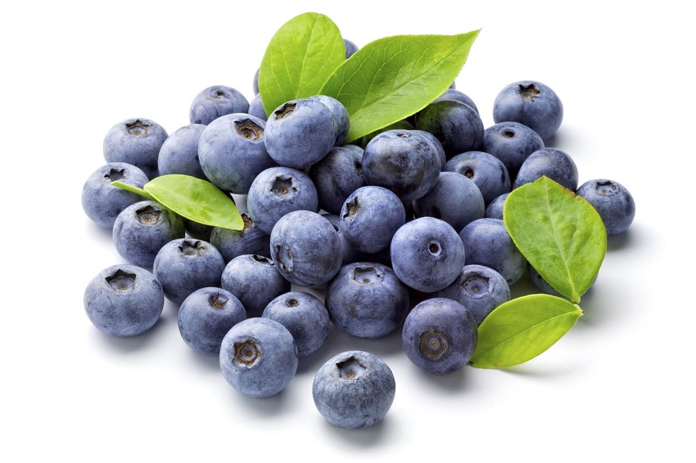 Arandanos Agroecologicos Bandejita 125g