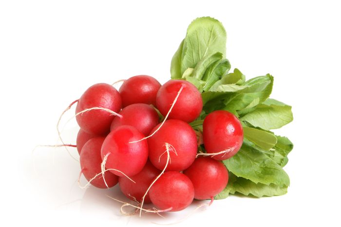Rabanitos agroecologicos - unidad aprox 500g