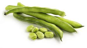 Habas agroecologicas 1K