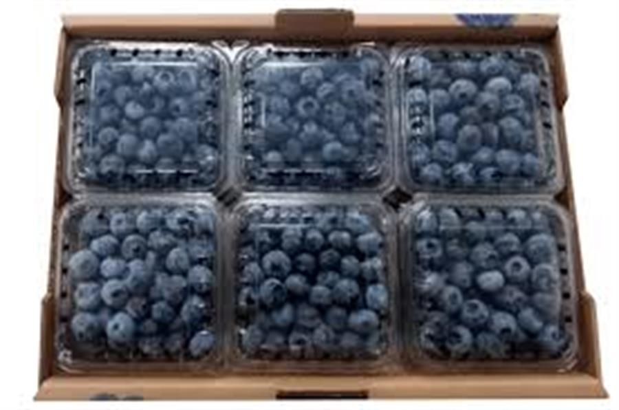 CAJA 12 Arandanos Agroecológicos Clamshell Bandejita 125g