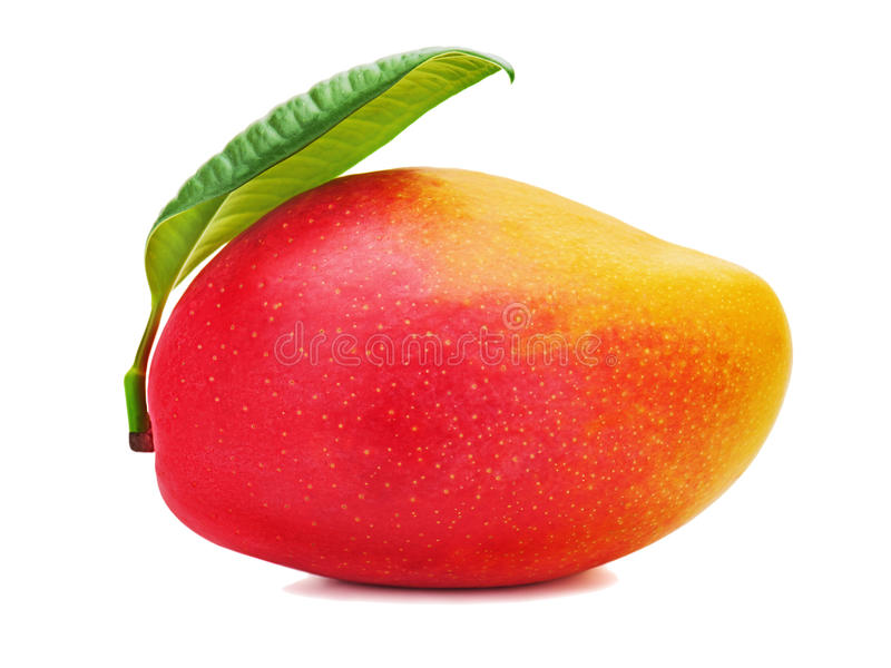 Mango agroecologico 1K - precio por kilo