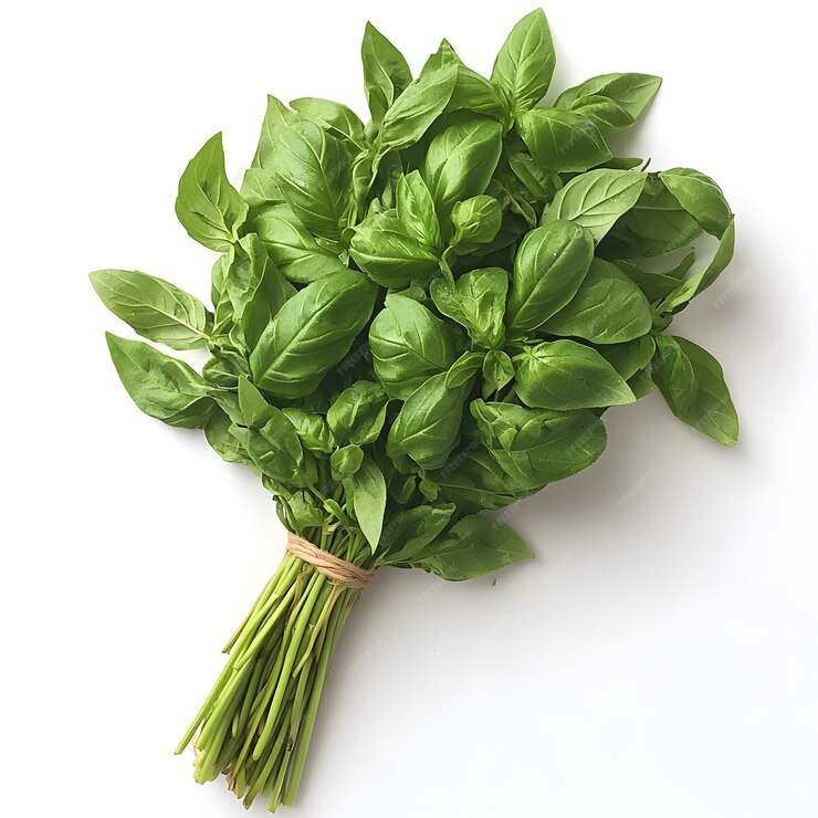 Albahaca agroecologica por atado