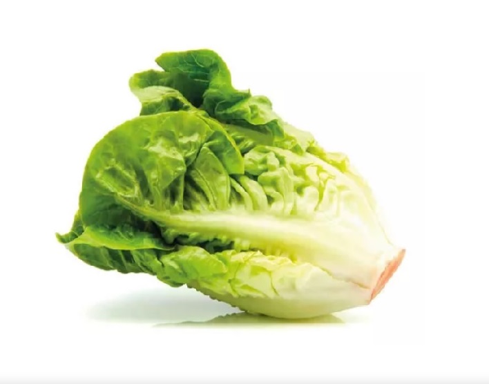 Lechuga CRIOLLA agroecologica