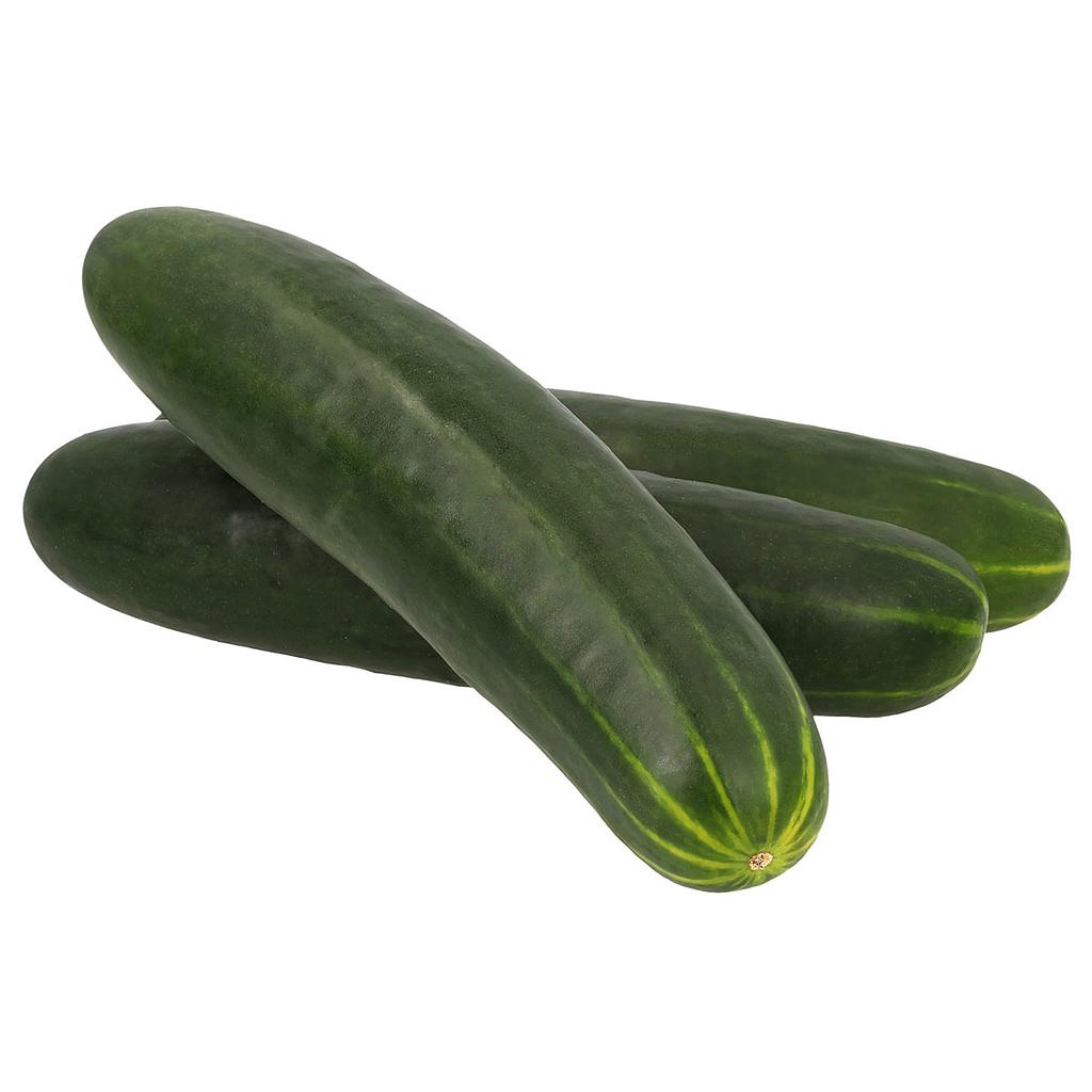 Pepino agroecologico 1K
