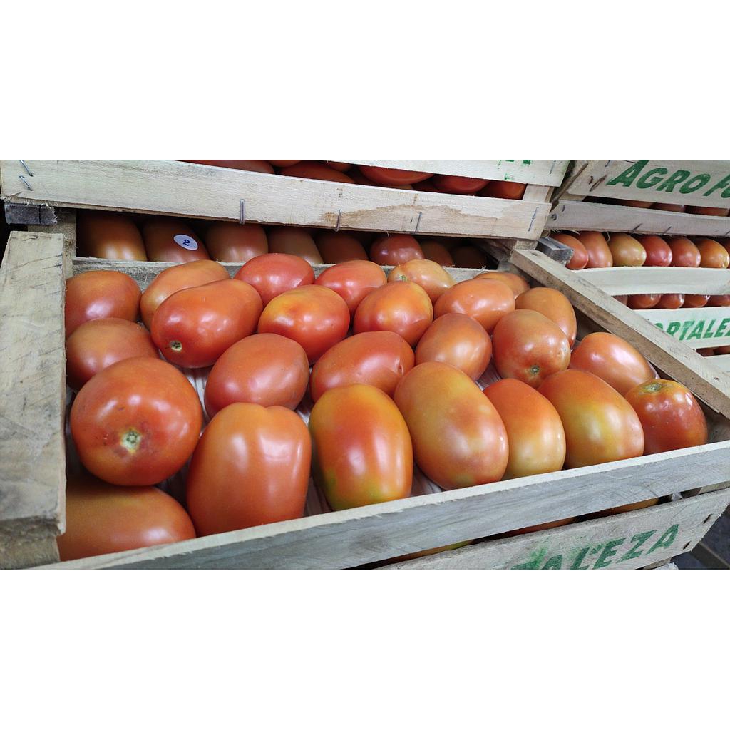 CAJON de Tomate Perita  16kg (bruto)
