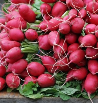 1/2 CAJON Rabanito agroecologico 6 atados aprox (500g c/u)