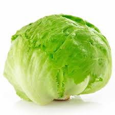 Lechuga CAPUCHINA agroecologica