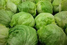 CAJON Lechuga Capuchina agroecologica 12 plantas aprox (300g c/u)
