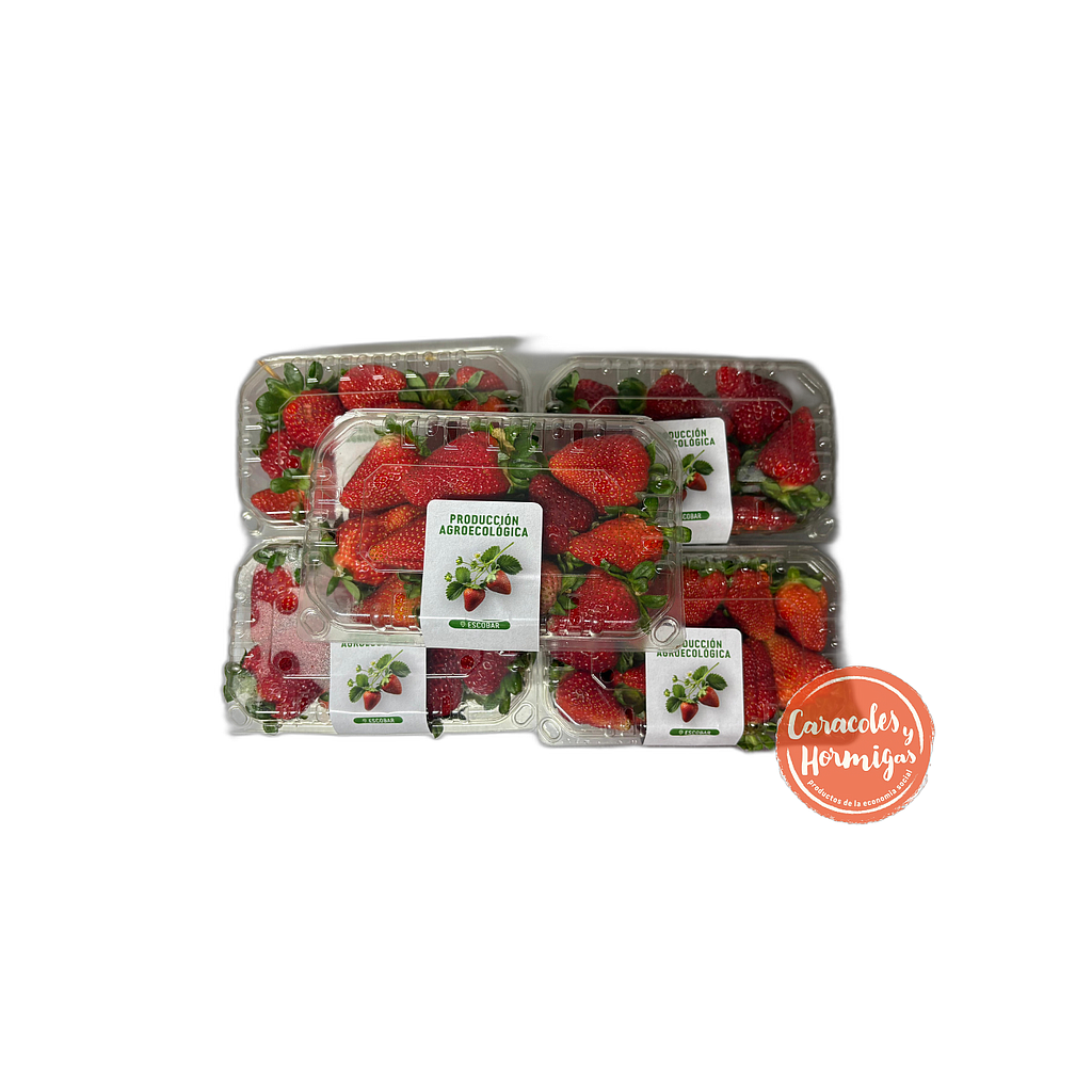 PACK 5 bandeja 500g Frutillas agroecologicas