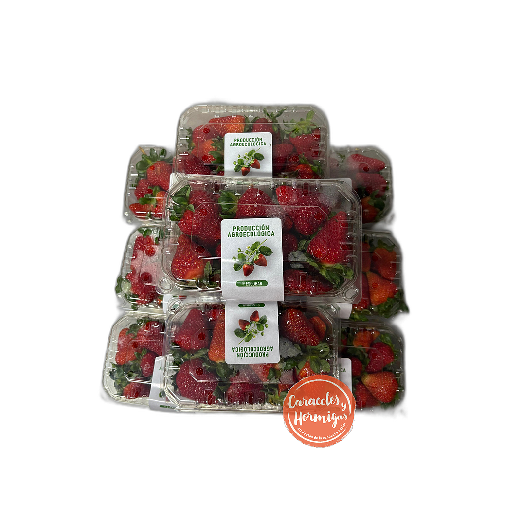 PACK 10 bandeja 500g Frutillas Agroecologicas