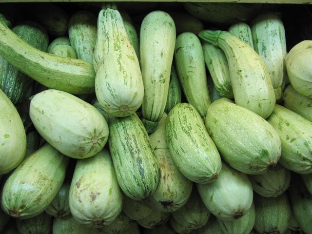 BULTO 5K Zucchini Agroecologico
