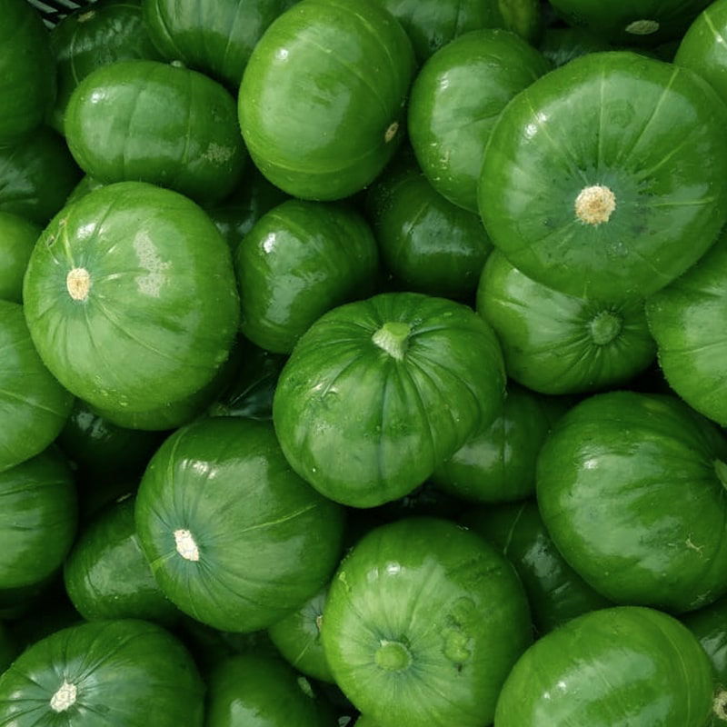 BULTO 5k Zapallito agroecologico 5K