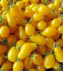 CAJON Tomate Cherry AMARILLO agroecologico 5K