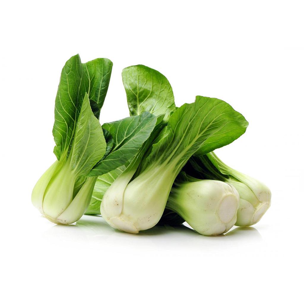 Pak choi (acelga china) agroecologico atado