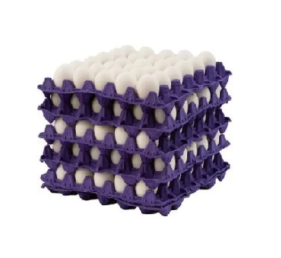 PACK 5u Maple de Huevos BLANCOS