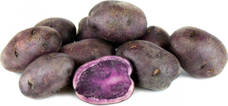 Papa Andina Morada agroecologica 1K