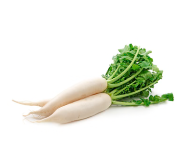 Nabo blanco agroecologico atado